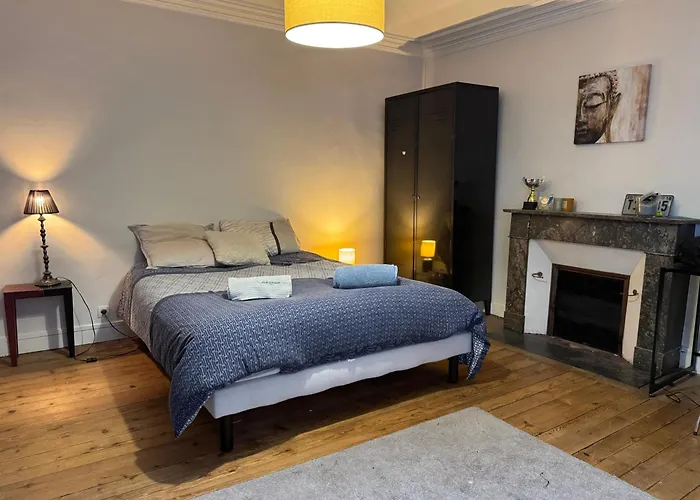 Maison De Charme Centrale & Jardin - 24H Du Mans 度假居