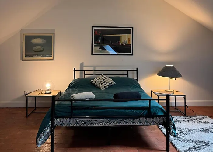 Maison De Charme Centrale & Jardin - 24H Du Mans 勒芒